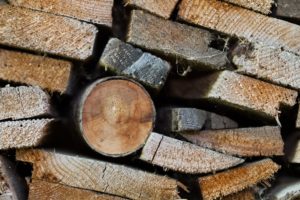 Daily Tasks of a Timber Merchant