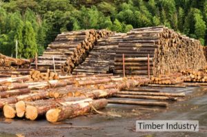 UK Timber industry